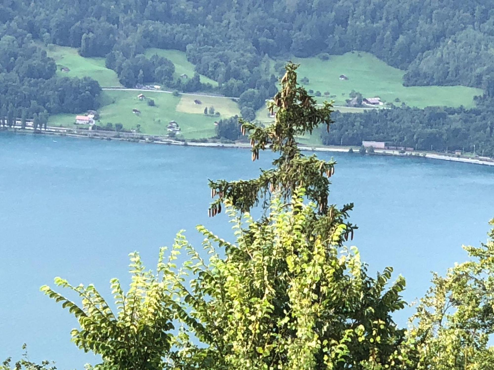 ביטנברג Wohnung Mit See Und Bergsicht Im Vier Sterne Hotel מראה חיצוני תמונה